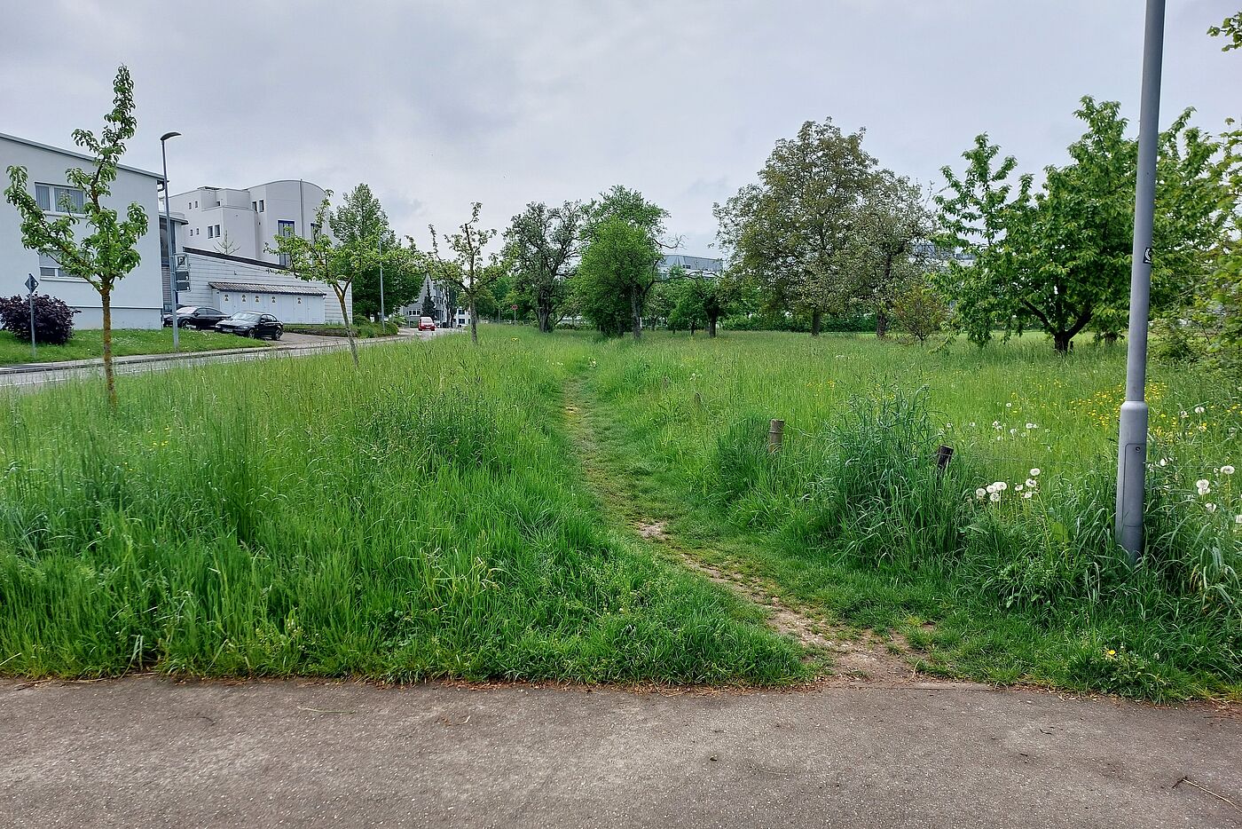 Friedrich-List-Straße, nördlich der Magellanstraße