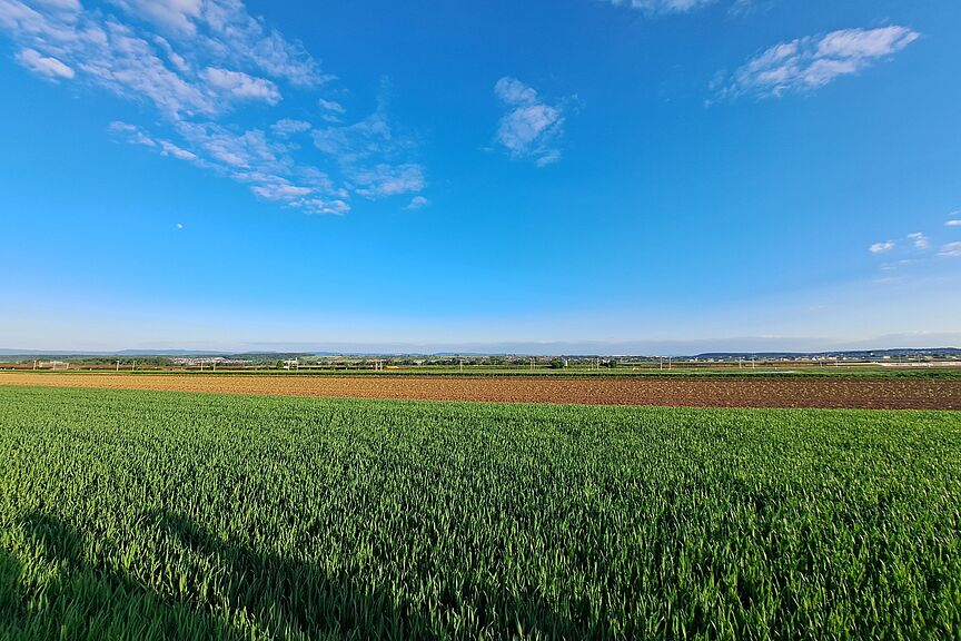 Blick über die Filder Blick über die Filder