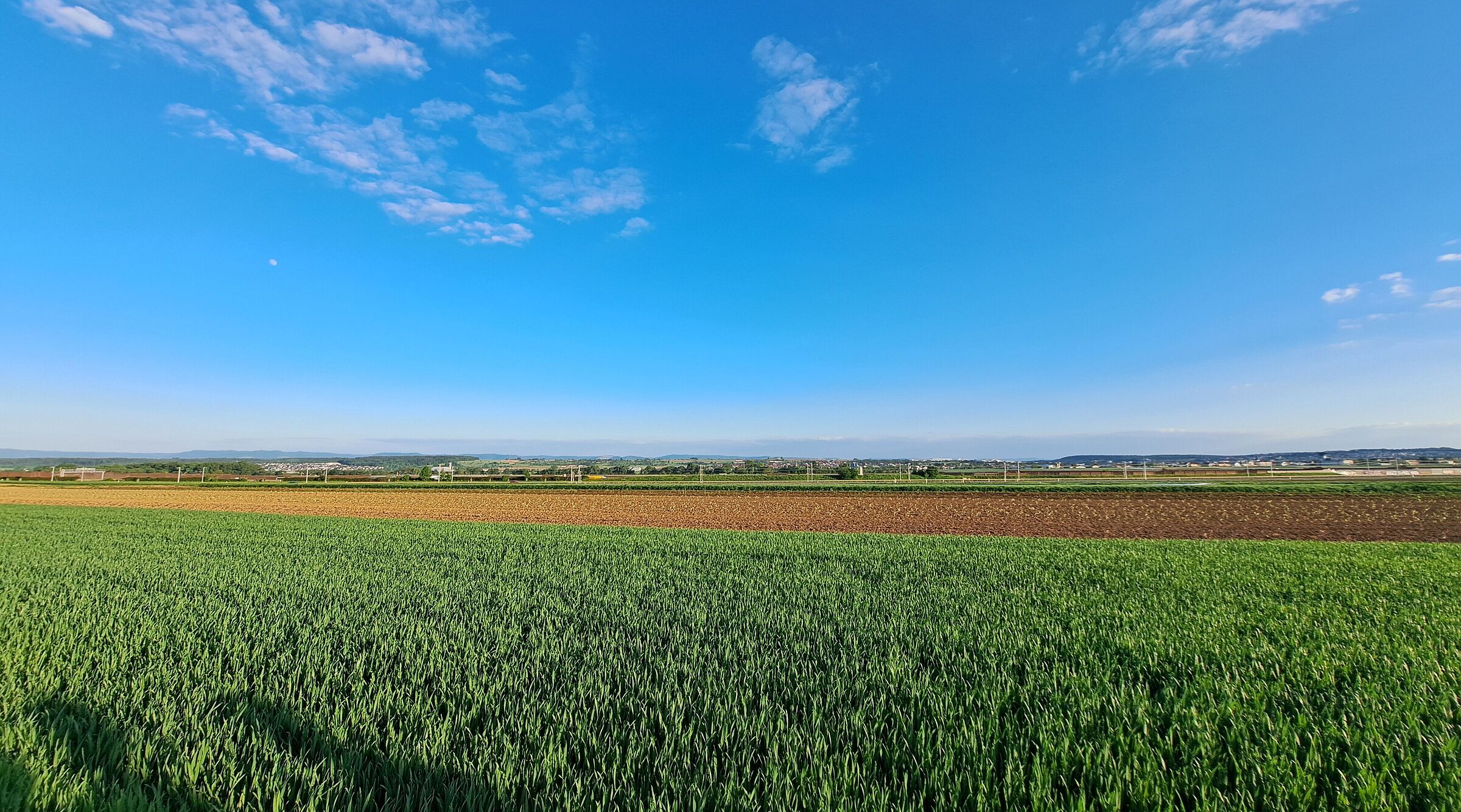 Blick über die Filder