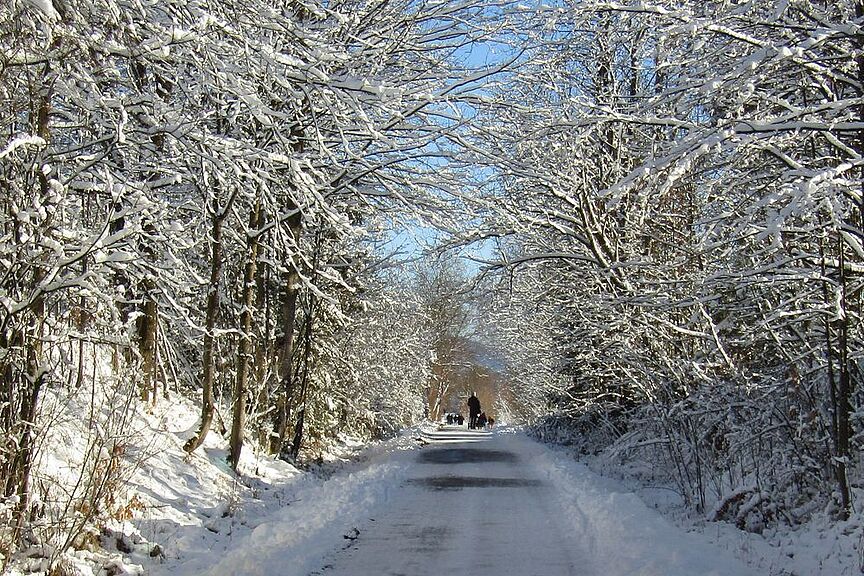 Weg im Winter Weg im Winter