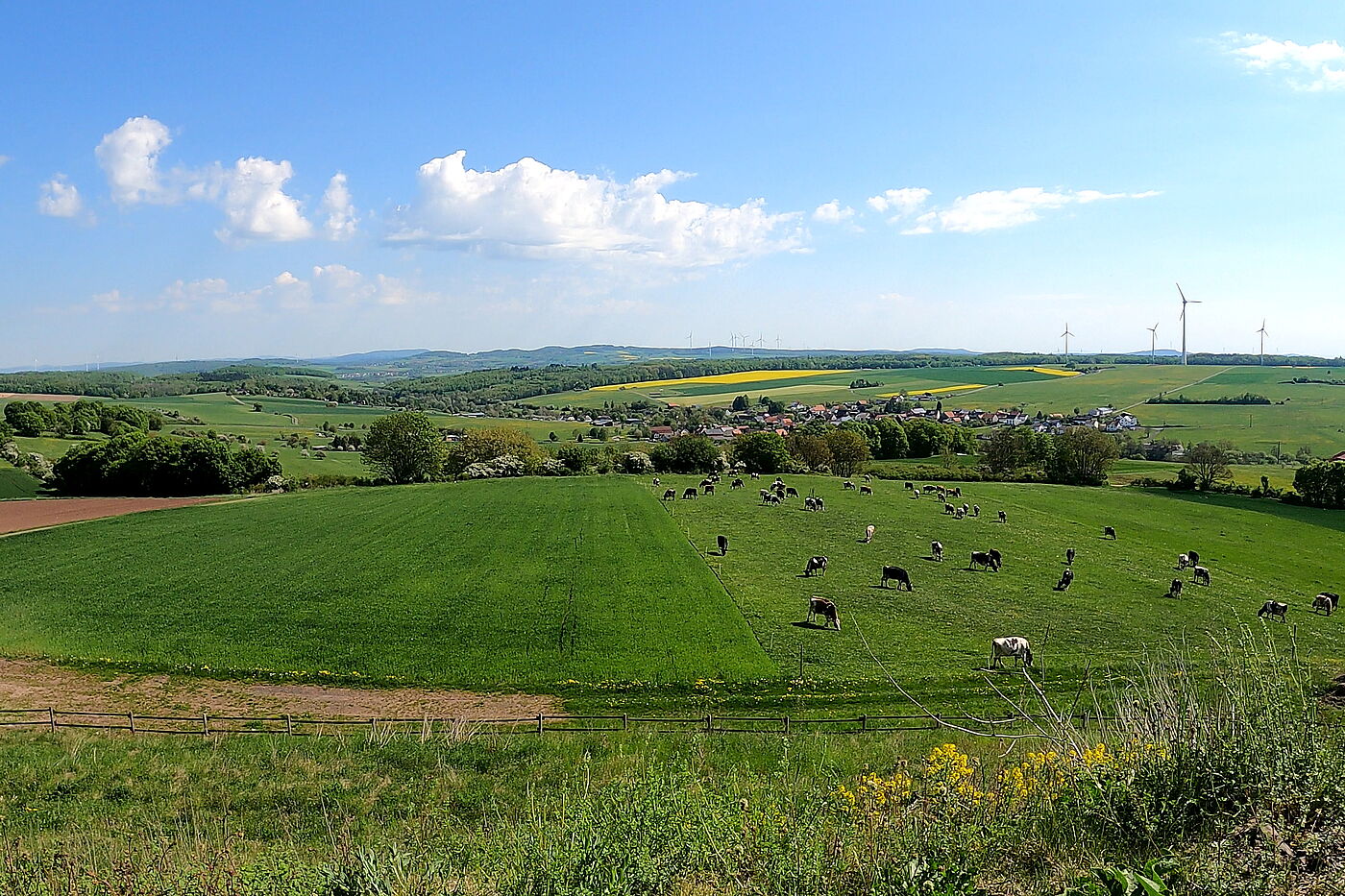 Quellen- und Flüssetour ADFC Schwalmstadt